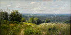 Плотников В.В. Родные просторы. Холст, масло. Россия, 2015 г.