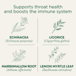 Traditional Medicinals, Organic Throat Coat, лимонная эхинацея, без кофеина, 16 чайных пакетиков в упаковке, 32 г (1,13 унции)