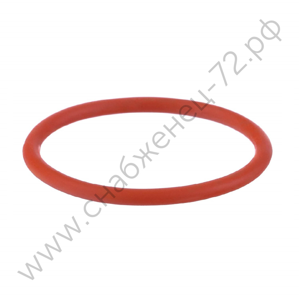 Кольцо уплотнительное IPT 60 NKS0001