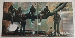 Винтажная виниловая пластинка LP Fleetwood Mac Penguin (Japan 1980) (Obi)