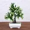 Бонсай в горшке &quot;Деревце яркое&quot; 10х20 см, микс