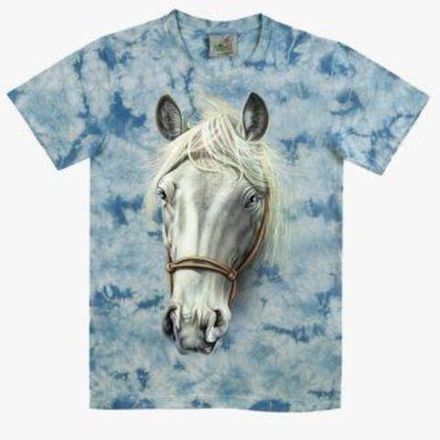 Rock Eagle TIE DYE (цветные)