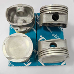 Поршни Teikin с кольцами TP +0.25 F16D3