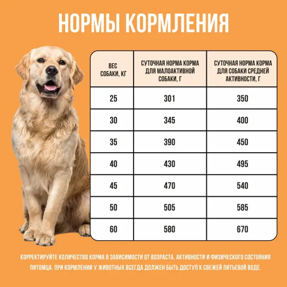 Bowl wow корм сухой для взрослых собак крупных пород: индейка, курица, рис, тыква