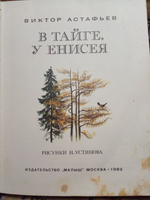 В тайге, у Енисея (дефект).
