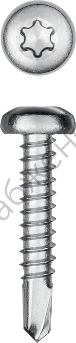 KRAFTOOL DS-P 25 х 3.5 мм, А2, сверло, полукр. головка, ТХ15, саморез нержавеющий, 600 шт (300931-35-025)