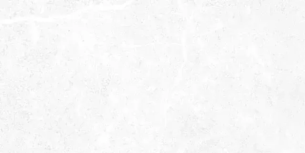 Настенная плитка ALMA Ceramica TWU09TON000 Stone 50x24.9 белая матовая под камень