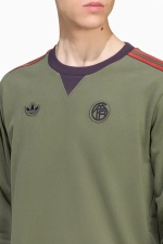 Кофта adidas FC Bayern 25/26 Terrace Icons - зеленый