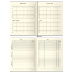 Дневник 1-11 кл. 48л. (ЛАЙТ) "Total gray", иск. кожа, тиснение, цветн. срез, ляссе, BG