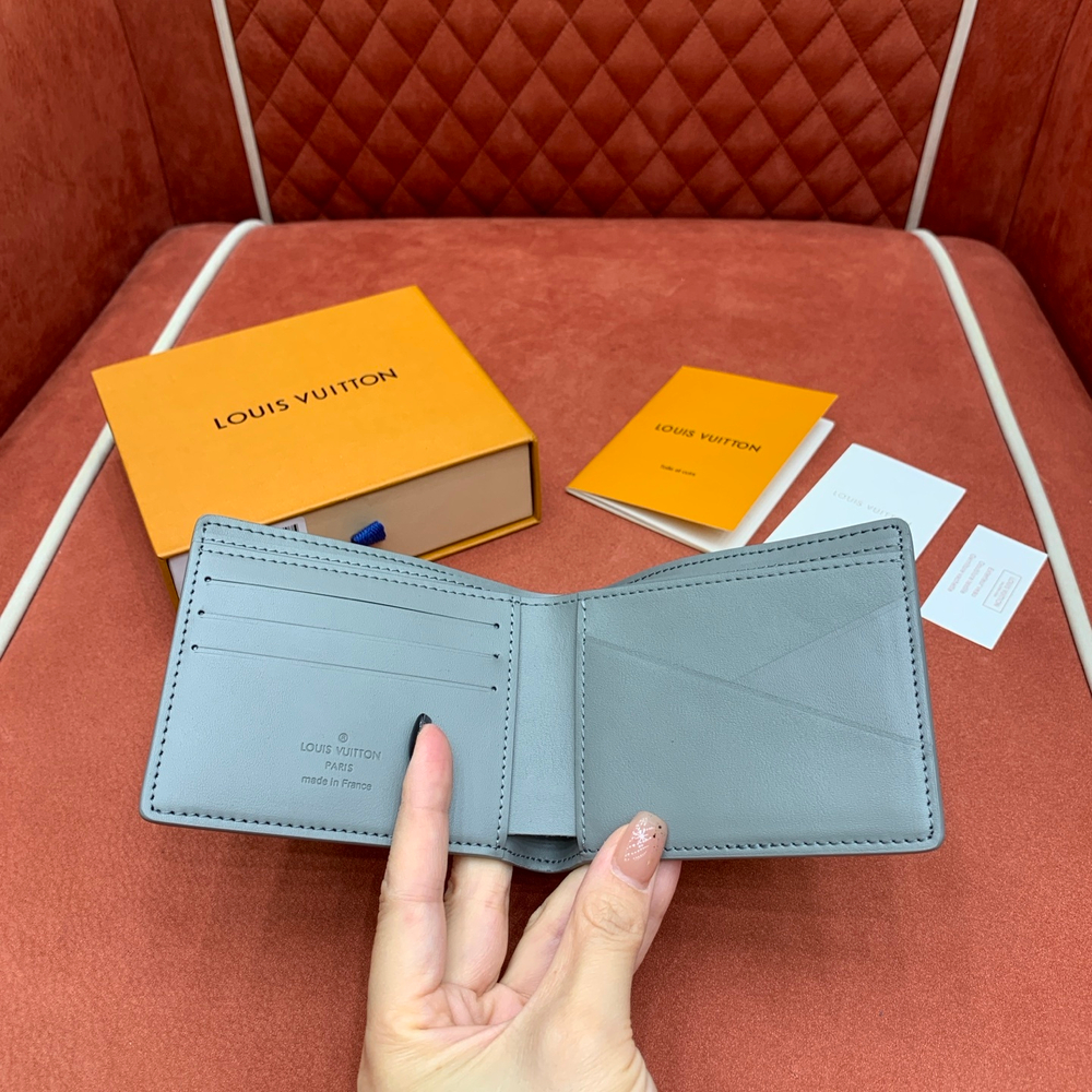 Louis Vuitton Multiple Wallet