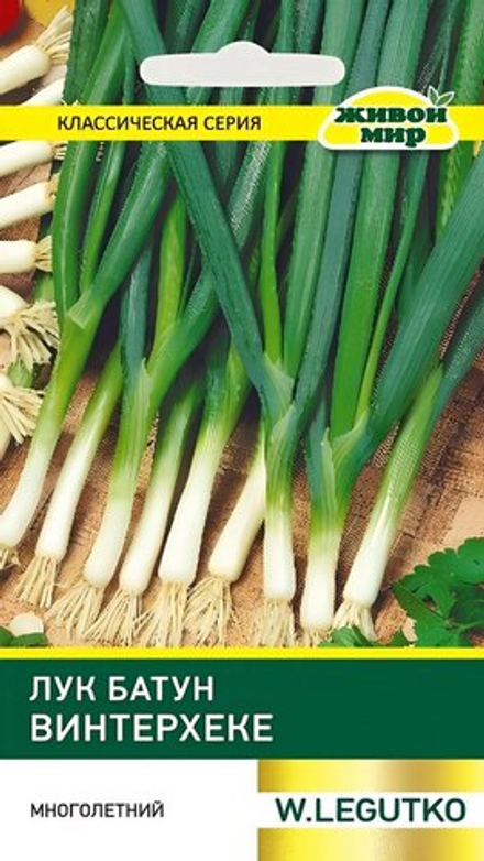 Лук "ЖМ. Bинтepxeкe" 1г., Польша.