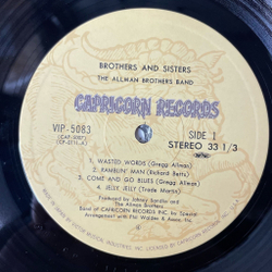 Винтажная виниловая пластинка LP The Allman Brothers Band Brothers And Sisters (Japan 1979) (No Obi)