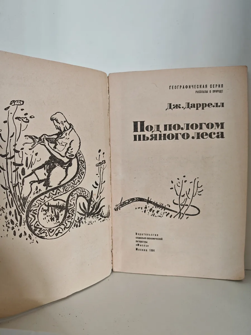 Под пологом пьяного леса