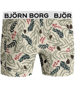 Боксерки теннисные Bjorn Borg Core Boxer 2P