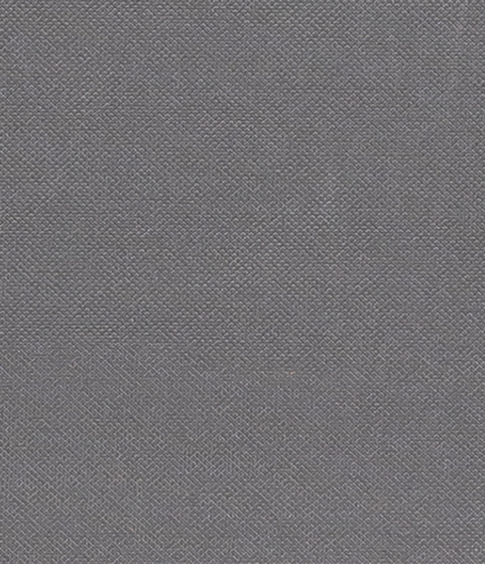 Рулонные шторы Лестер Графит