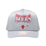 Кепка Mitchell&Ness NBA Glow Up Trucker Chicago Bulls Cap Gray
