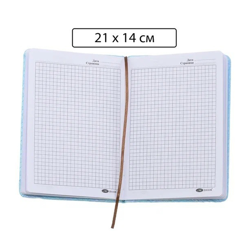 Записная книжка Basir на резинке, формат А5, переплет из кожзама, рисунок - голография, 20*14 см, 100 листов, 4 цвета ассорти