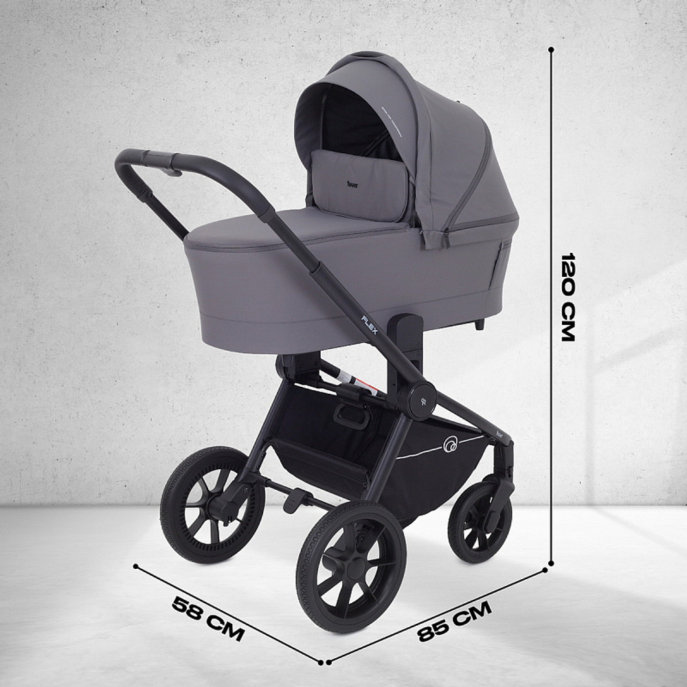 Детская коляска Rant Flex 2 в 1 RA076 Graphite