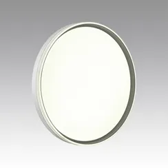 7631/DL PALE SN 160 Светильник пластик/светло-серый LED 48Вт 3000-6300K D390 IP43 пульт ДУ SAVI