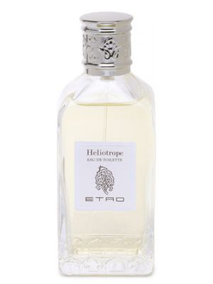 Etro Heliotrope