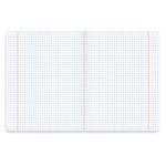 Тетрадь предметная COLOR 48 листов, матовая ламинация, лак, 70 г/м2, ХИМИЯ, клетка, подсказ, BRAUBERG,403989