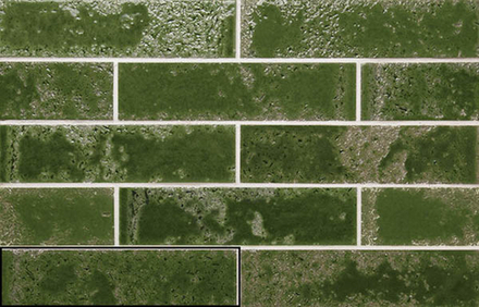 Настенная плитка PUKKA CROCODILE GREEN