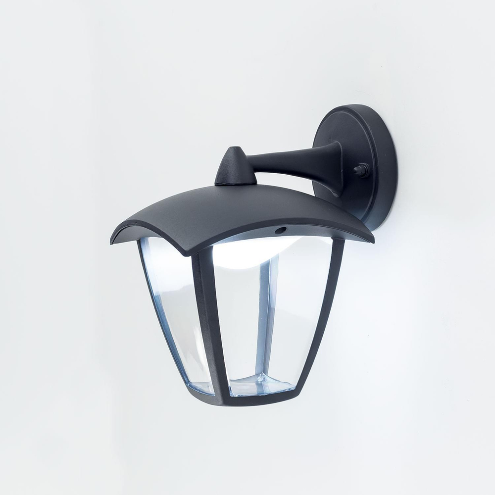 Citilux GARDA CLU04W2 LED Уличный настенный светильник Чёрный