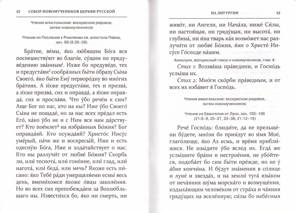 Собор новомучеников и исповедников Церкви Русской