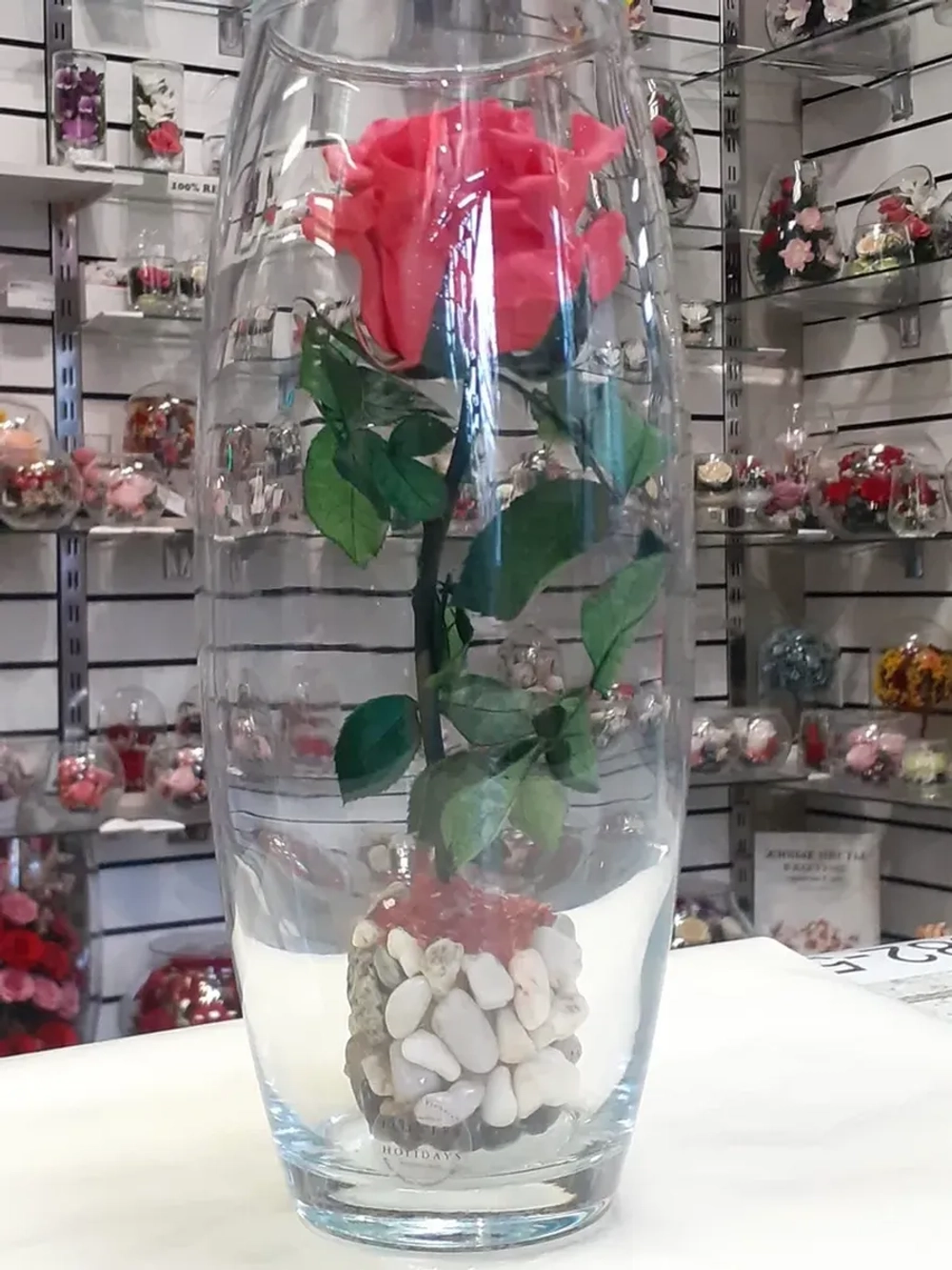 натуральная роза в стекле, вакуум*