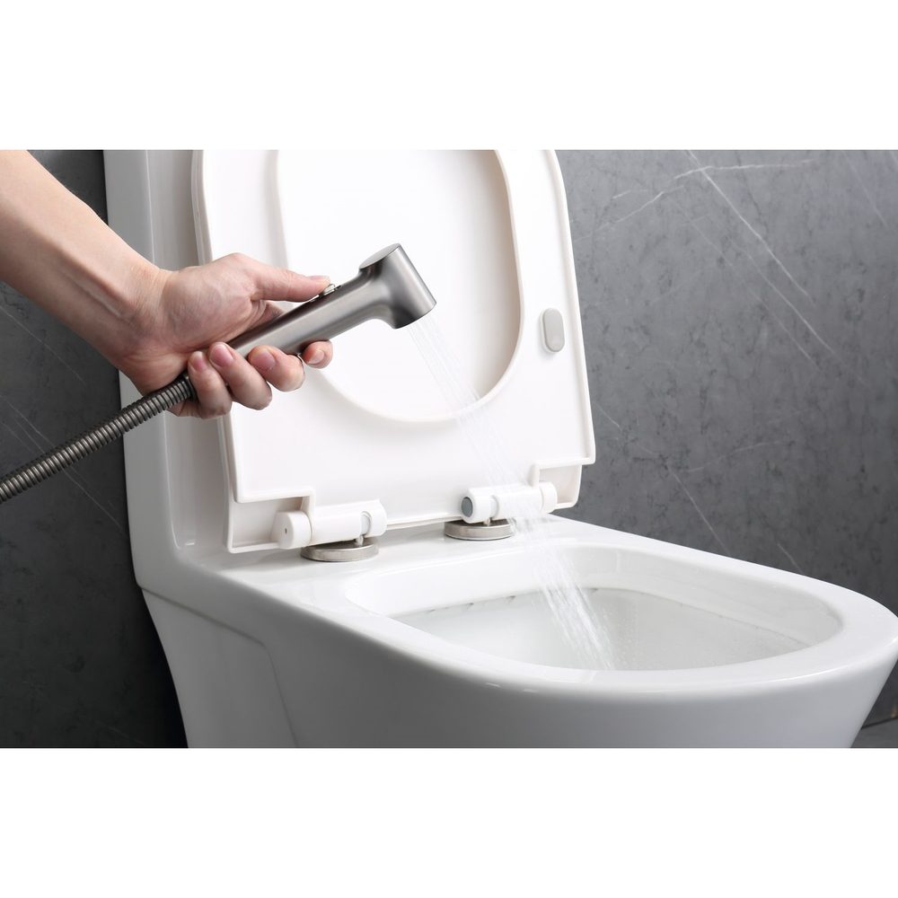 Гигиенический душ со смесителем Raglo R03.51.09, графит