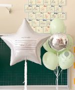 шары на 1 сентября в стиле тетрадки, фольгированная звезда и фисташковые латексные шары