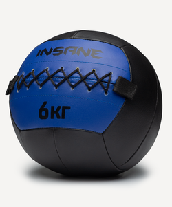 Медбол INSANE IN24-WB100, 6 кг, синий