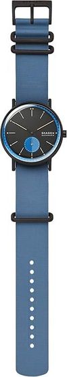 Мужские часы Skagen SKW6539