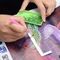 Алмазная вышивка \ Diamond painting ZX106