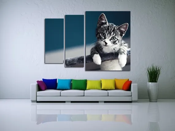 Модульная картина "Ласковый котёнок"