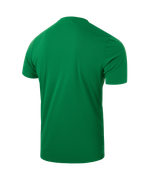 Футболка вратарская DIVISION PerFormDRY SPLASH GK Jersey, зеленый, детский