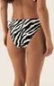 42385 ZIBRAZ/01X Трусы купальные