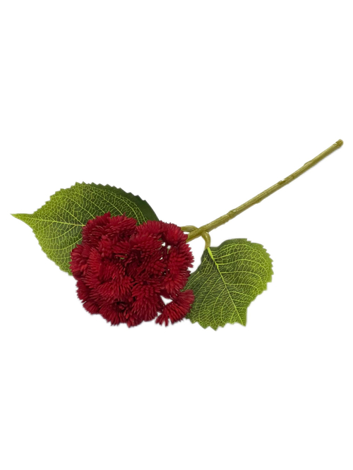 Седум красный 38 см