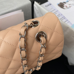 Chane1 Classic Flap Bag 25 cm