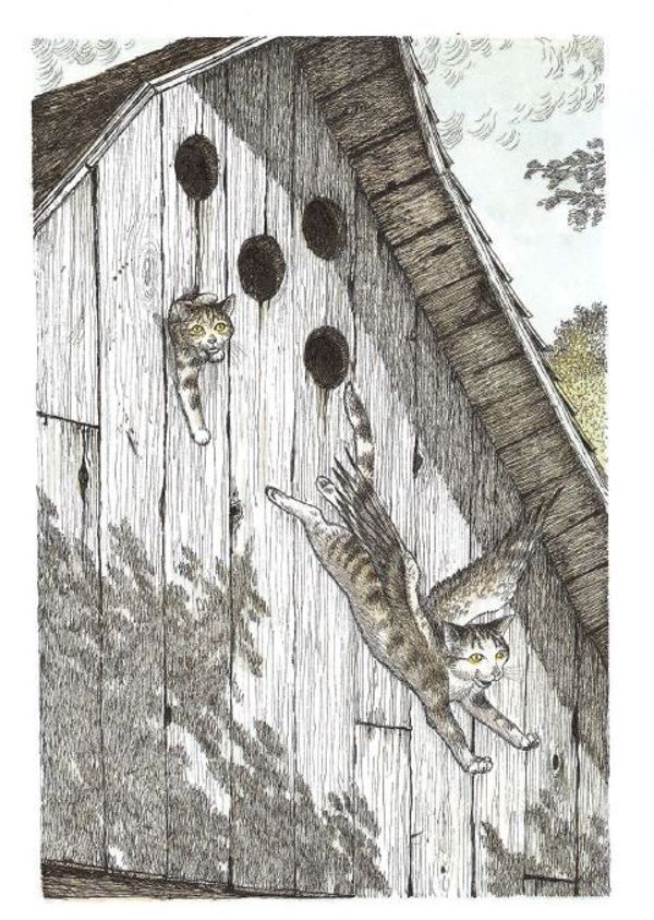 Крылатые кошки возвращаются