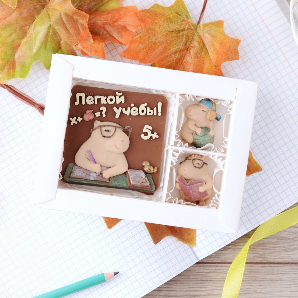 Набор "Легкой учебы" #2