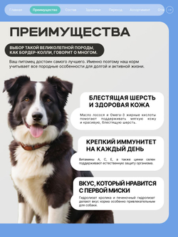 Корм для взрослых собак породы Бордер-колли, с кроликом, 3 кг, QUATTRO