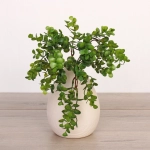 Искусственные цветы «Волшебство трав» 37см Эвкалипт темно-зеленый