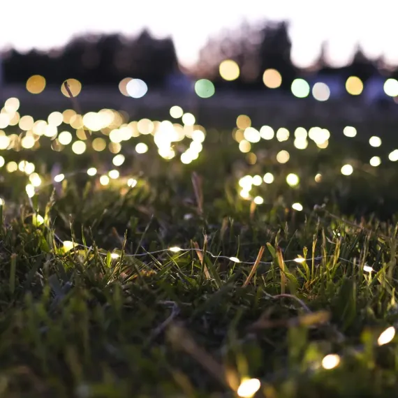 Гирлянда нить-роса 10 м., IP20, серебристая нить, 100 теплых белых LED, 12 В, Luazon Lighting (5198354)