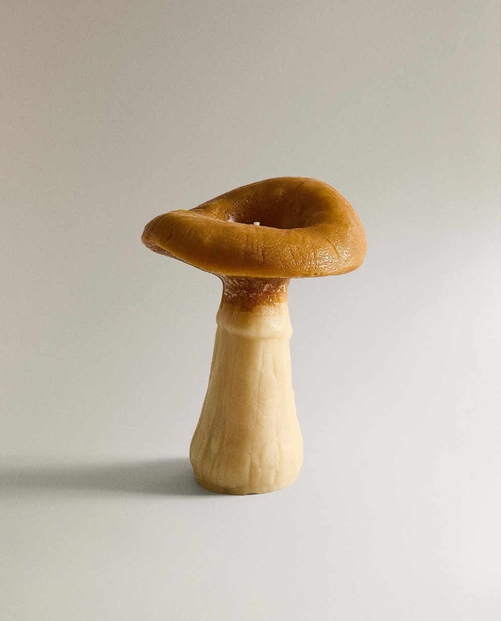 Zara Home - Большая ароматическая свеча гриб тыква spice