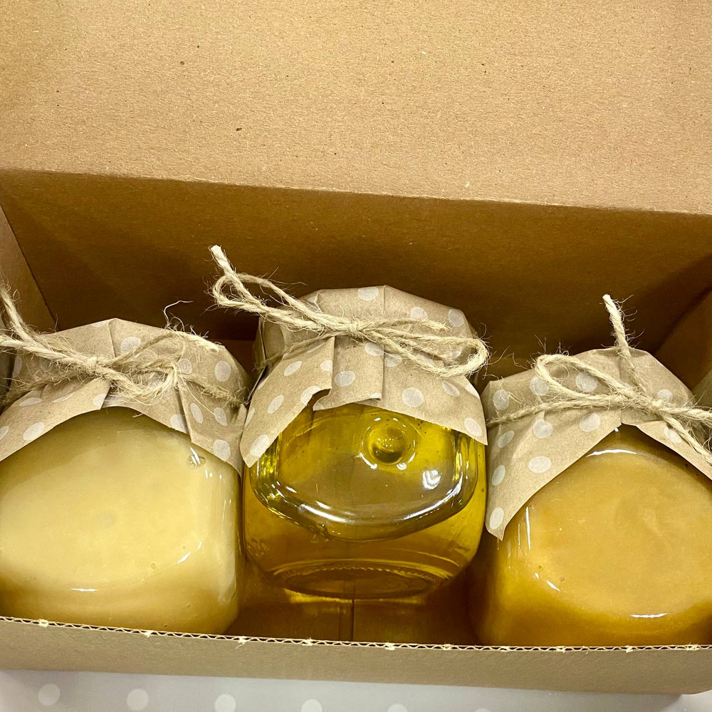 Медовый бокс (набор из 3 сортов меда: таежный, горный, донниковый). 900гр. Алтайский край