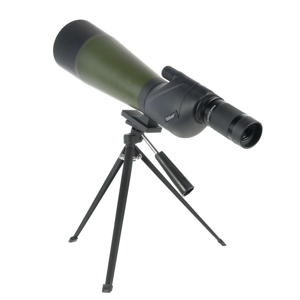 bi786qm1boj709fps3jcjlubd95cx09p_-101859155.jpg