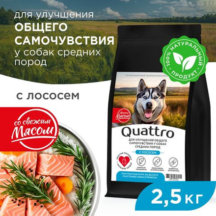 Корм сухой для взрослых собак средних пород, премиум полнорационный комплекс, улучшение общего самочувствия, с лососем, 2,5 кг, QUATTRO