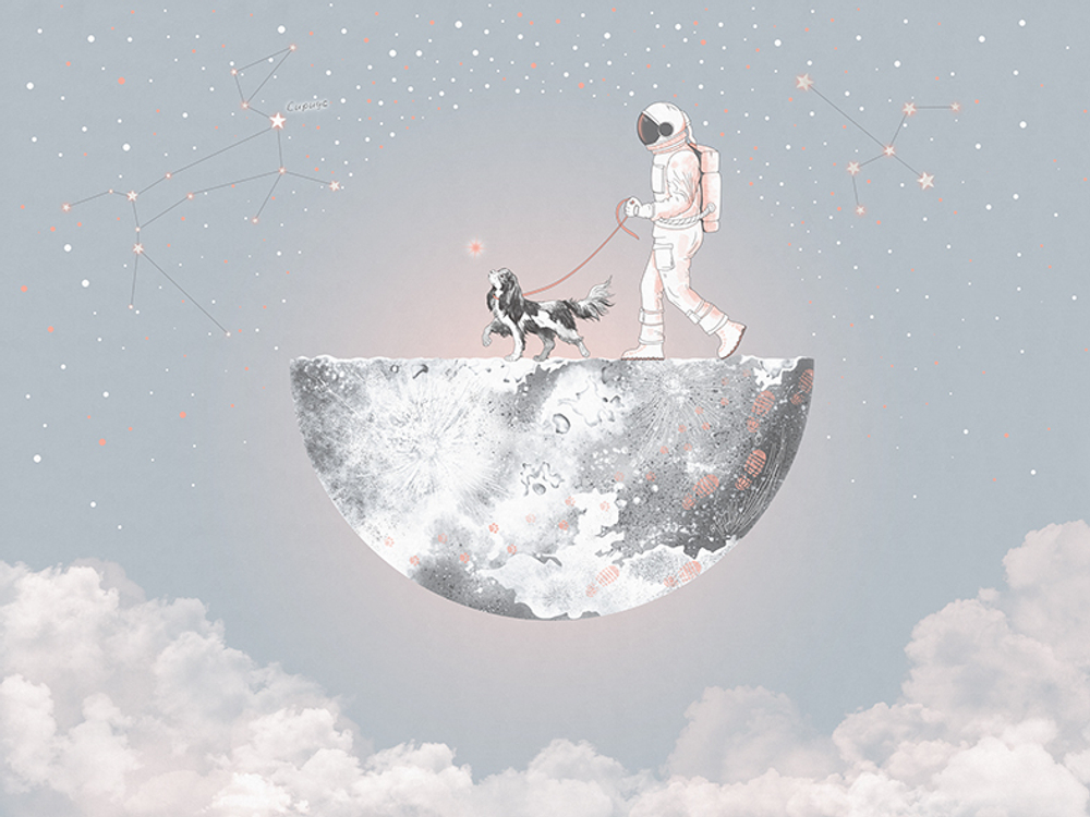 Коллекция COSMOS25