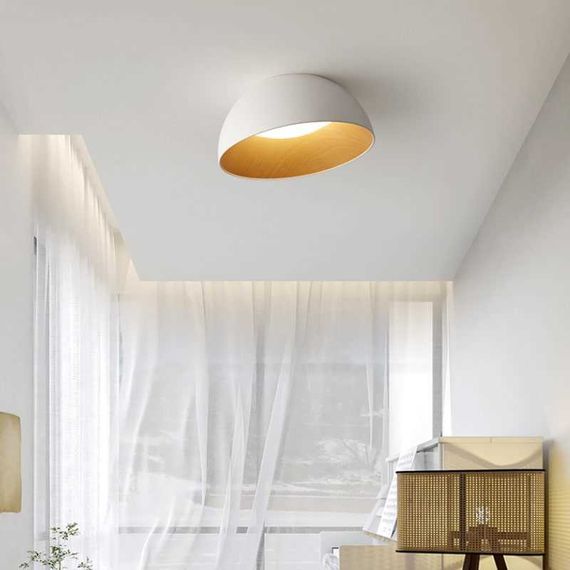 Потолочный светодиодный светильник Imperium Loft Bara 223999-23